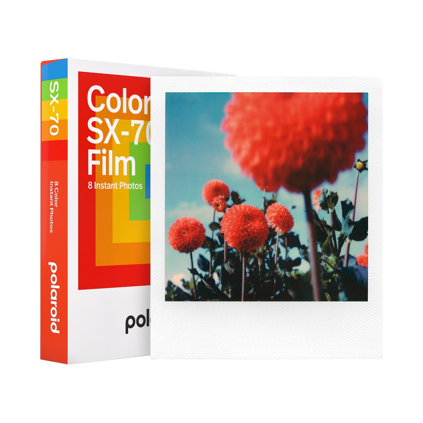 Polaroid Color SX-70 Film (8 photos)