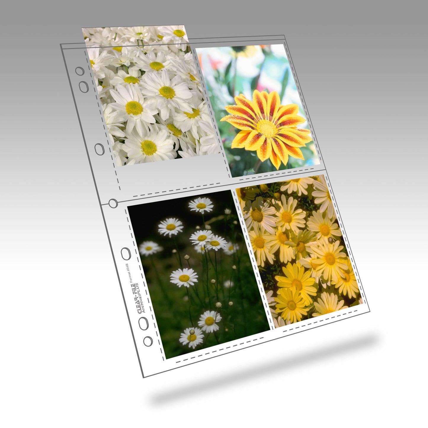 ClearFile PP Negative/Print Sleeves for 4x5 sheets (up to 4 sheets) (25 sheets)
