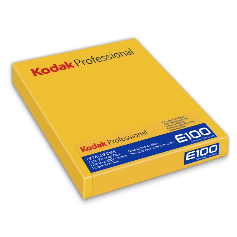 Kodak Ektachrome E100 4x5 (10 sheets)