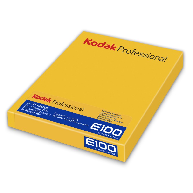 Kodak Ektachrome E100 4x5 (10 sheets)